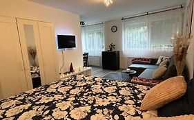 Studio Apartman Stefi